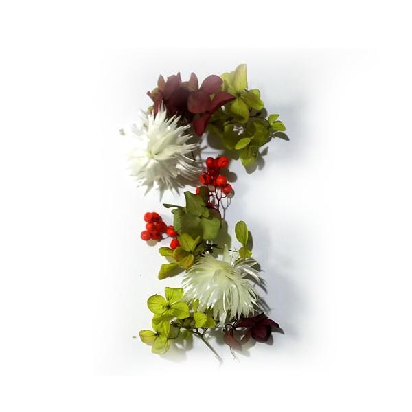 グリーン・赤・白の ハーバリウム クリスマスカラー 花材セット　あじさいも入っているお得なセット-----------------------------------------------自然の素材となりますので色合いや形状、大きさなど異...