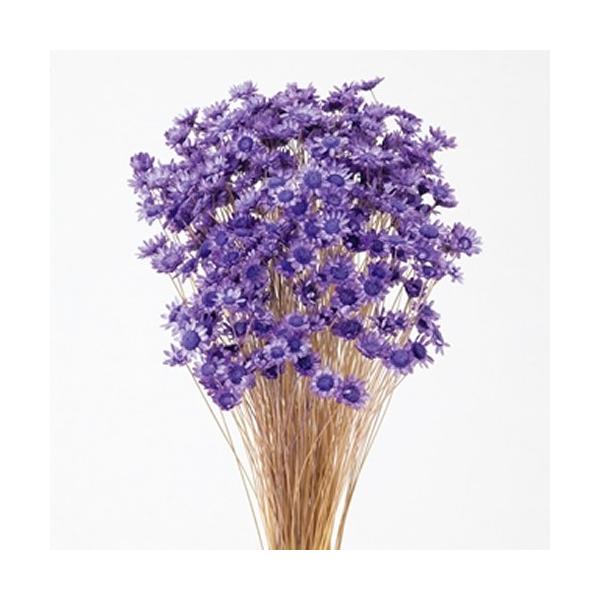 スターフラワー・ブロッサムストロベリー約30cmL花サイズ：約1〜1.5cm1束（約18g・約300本）-----------------------------------------------自然の素材となりますので色合いや形状、大き...