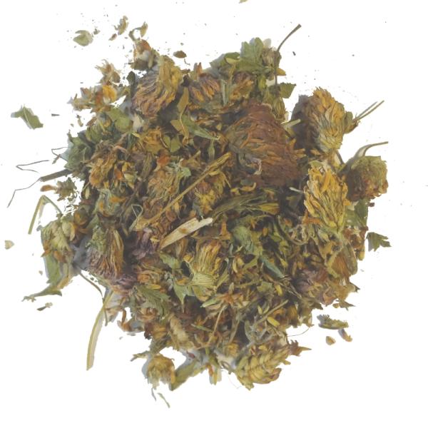 レッドクローバー 20g 100g 1kg アカツメクサ ハーブティー 自然茶 無添加 天然ハーブ100% ドライハーブ PRO ハーバリスト 業務用