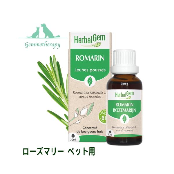 ローズマリー ペット用 30ml ジェモセラピー サプリメント 胆嚢用 胆汁サポート 胆泥 予防 犬用 猫用 ハーバルジェム 動物用 ROMARIN BIO 正規輸入元