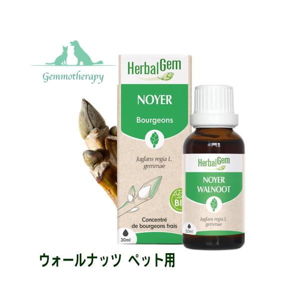 ウォールナッツ 30ml ペット用 ジェモセラピー サプリメント 膵用 血糖管理サポート 犬用 猫用 新芽のちから ハーバルジェム 動物用 BOULEAU BIO 正規輸入元
