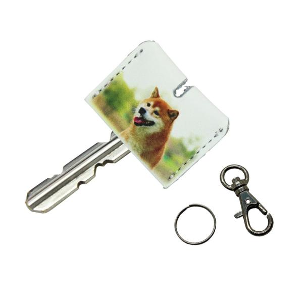 `OX֌  U[ L[Jo[  Ck lR v L[Lbv  ̎ʁ@̔ԍ NO. B