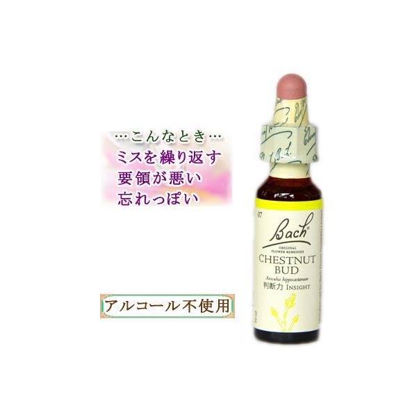 バッチフラワーレメディ 07チェストナットバット ノンアルコープタイプ 10ml フラワーエッセンス