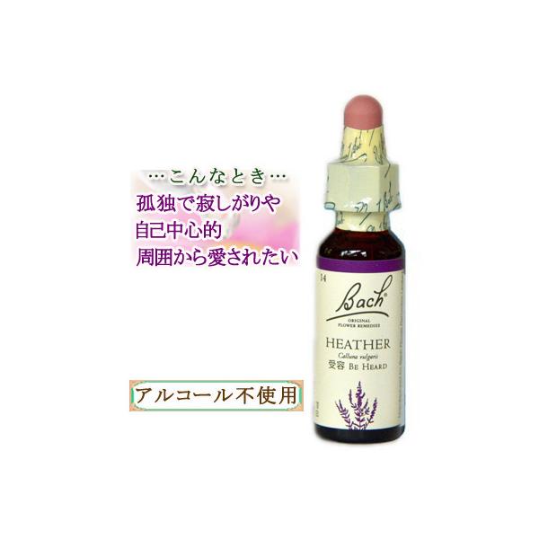 4/14まで期間限定価格【美品】バッチフラワーエッセンス事典 レメディー専用箱 バッチフラワーレメディ 14ヘザー ノンアルコープタイプ 10ml