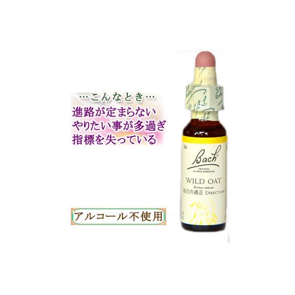 バッチフラワーレメディ 36ワイルドオート ノンアルコープタイプ 10ml フラワーエッセンス