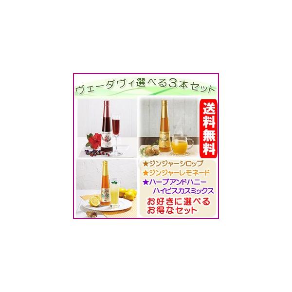ヴェーダヴィージンジャーシロップ3本 Amazon.co.jp: ヴェーダヴィ ミニボトル130g×3本 ジンジャー