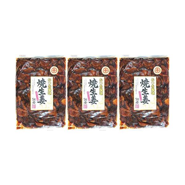 焼生姜の佃煮 かつを風味 かつお おかず 薬味 焼き生姜 ダイエー (220g 2袋) 爆買