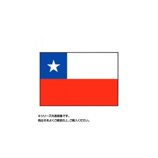 世界の国旗 万国旗 チリ 120×180cm キャンセル返品不可 :1529404 