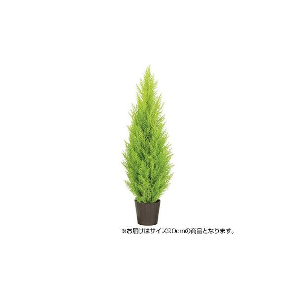 ゴールドクレスト フェイクグリーンの価格と最安値 おすすめ通販を激安で 花 ガーデニング用品関連