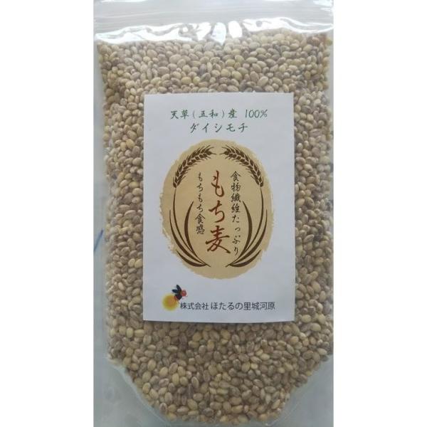 もち麦 雑穀 国産 ダイシモチ 200g 食物繊維 天草市城河原地区産 株式会社ほたるの里城河原