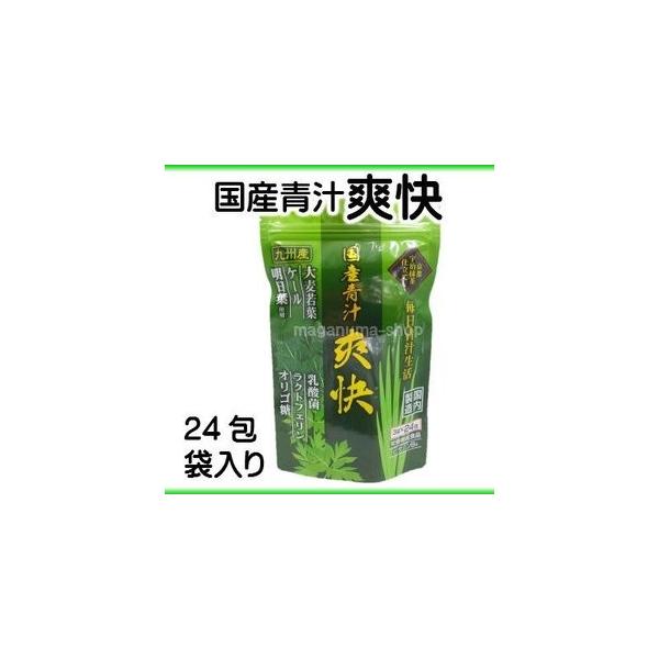 青汁 国産青汁爽快 24包×1袋 粉末 抹茶味 栄養機能食品 京都宇治抹茶 乳酸菌 オリゴ糖配合 野菜不足 大協薬品