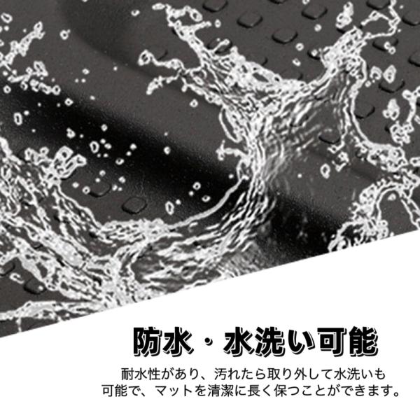 hesperus_car-10-03_4_d_20231204161935