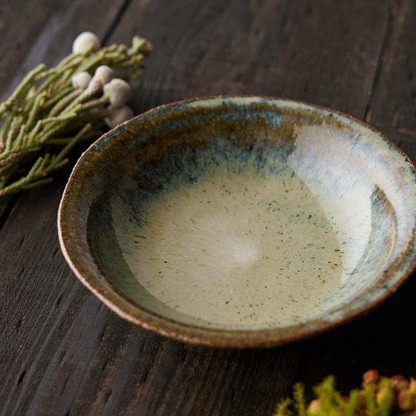 信楽焼 中深皿 20cm 信楽四季彩陶-冬至 寒雲雀 ふゆひばり : HESTA