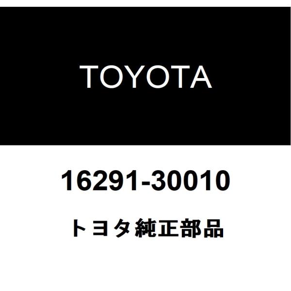 hexstore_16291-30010