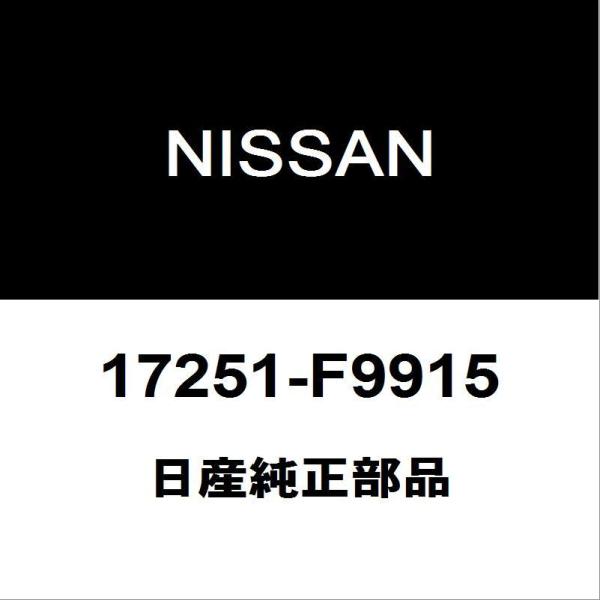 hexstore_17251-f9915-ldf-