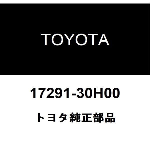 hexstore_17291-30h00