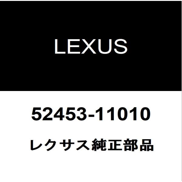 hexstore_52453-11010-6aa-
