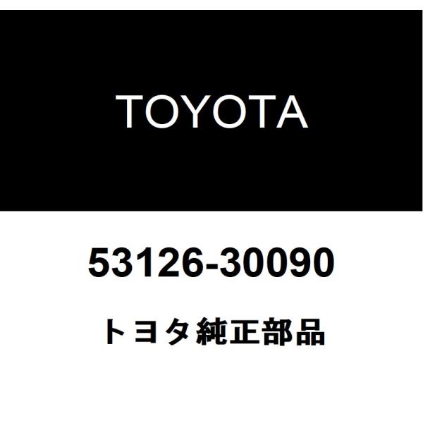 「専用出品」 トヨタ（TOYOTA） トヨタ純正 ラジエータグリル モールディング CTR LH