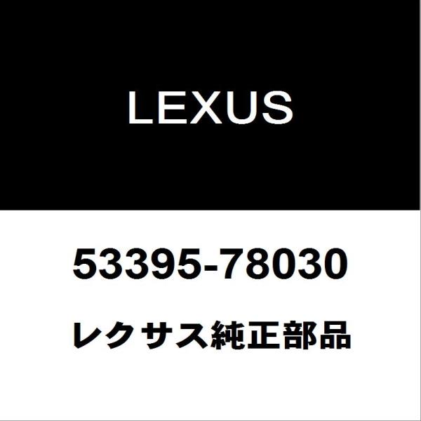 けいページ レクサス レクサス純正 NX ラジエータグリルモール 53395-78030