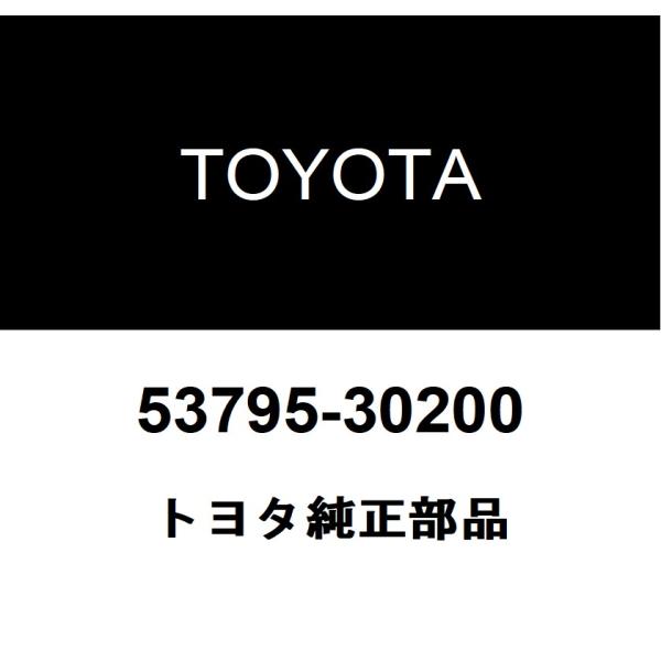 専用ページ トヨタ（TOYOTA） トヨタ純正 エンジンルーム サイド カバー 53795