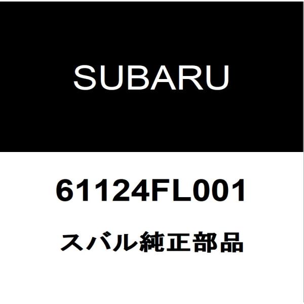 hexstore_61124fl001-3ba-gt7-f5cl