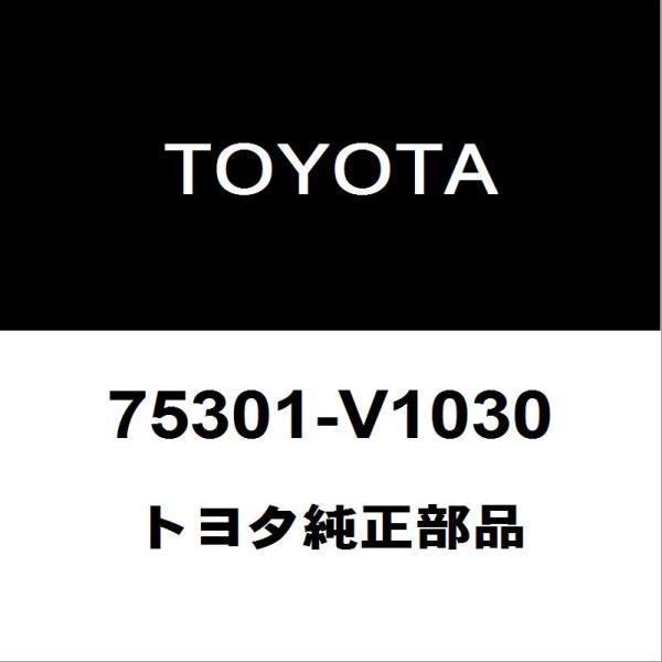 hexstore_75301-v1030-6ba-
