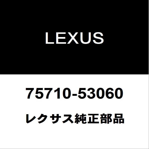 レクサス（LEXUS） レクサス純正 IS フロントドアベルトモールRH 75710