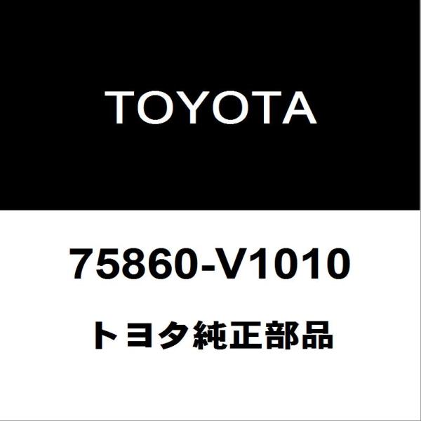 hexstore_75860-v1010-6ba-