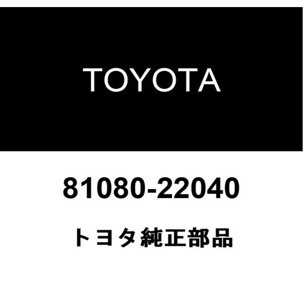 hexstore_81080-22040