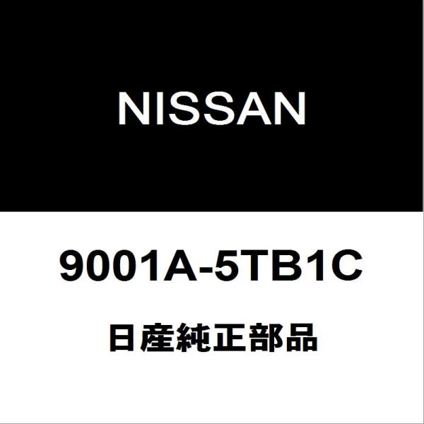 日産（NISSAN） 日産純正 セレナ リアウィンドシールドガラス 9001A