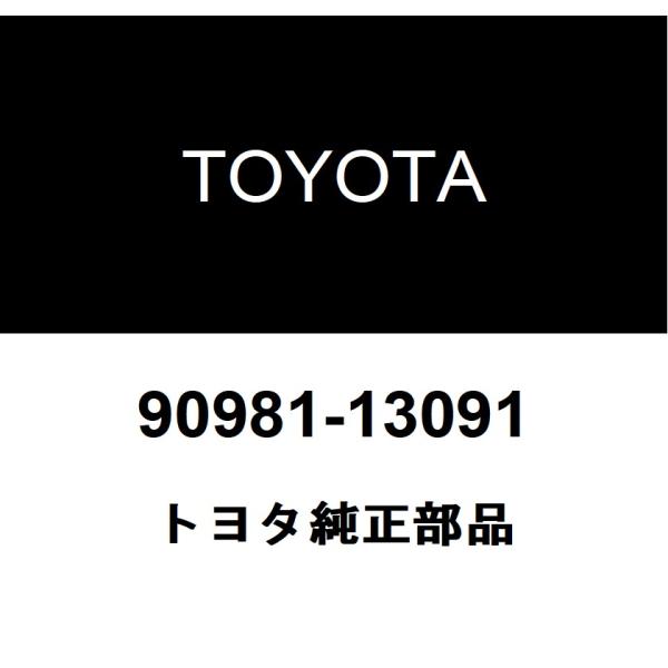 hexstore_90981-13091