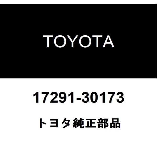 hexstorefc_17291-30173