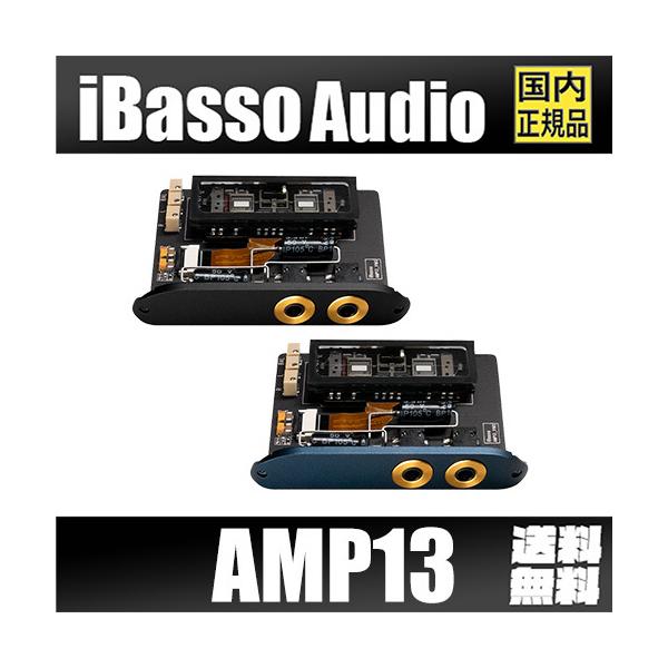 iBasso audio DX300/DX320用AMP12,AMP13のセット | www.tspea.org