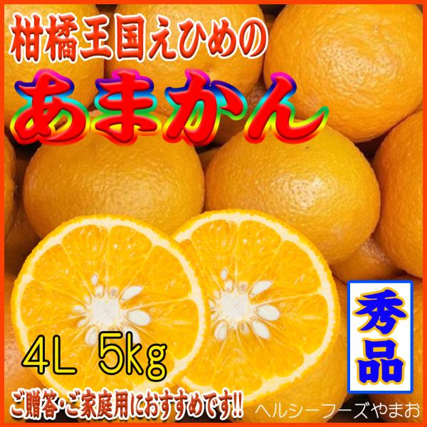 絶品柑橘】完熟媛小春2kg ご家庭用 農薬不使用 自然栽培 愛媛