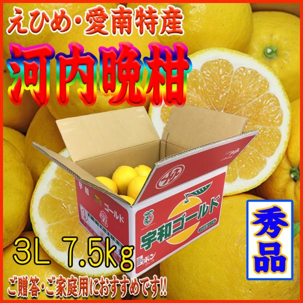 2026　ギフト　贈り物　プレゼント　河内晩柑（かわちばんかん・愛媛産・愛南・３Ｌサイズ）7.5ｋｇ入（ご贈答・ご家庭用に最適です）