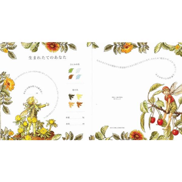 フラワーフェアリーズ 花の妖精たち ベビー ダイアリー 妖精 ボタニカル イギリス Buyee Buyee 提供一站式最全面最專業現地yahoo Japan拍賣代bid代拍代購服務 Bot Online