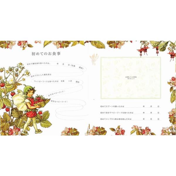 フラワーフェアリーズ 花の妖精たち ベビー ダイアリー 妖精 ボタニカル イギリス Buyee Buyee 提供一站式最全面最專業現地yahoo Japan拍賣代bid代拍代購服務 Bot Online