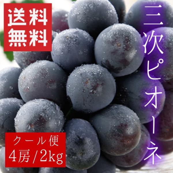 ���i�摜