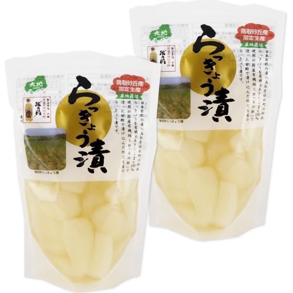 鳥取砂丘産 らっきょう漬 １３０ｇ ２袋セット  送料無料 センナリ 米酢 鳥取県