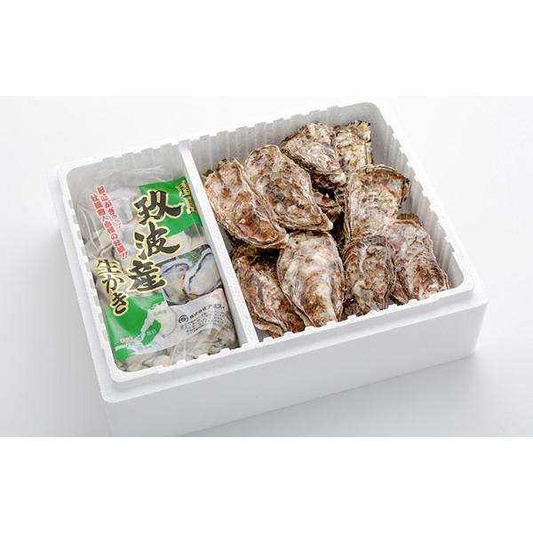 Yn LY  ނg1kg+kt2kg(12`16) N[ {ߊCŊlꂽ嗱  JL y ()A~XC