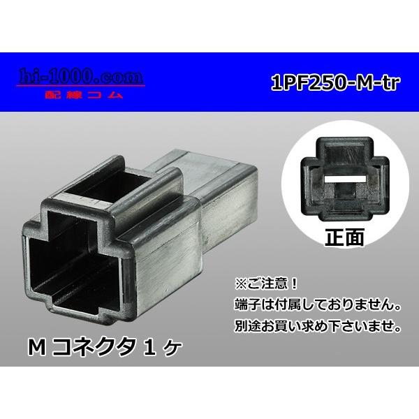 矢崎総業250型1極CN(A)シリーズ[黒色]Mコネクタのみ（端子無）/1PF250-M-tr