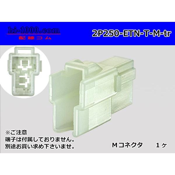 住友電装250型ETNシリーズ2極M側コネクタ（端子別）/2P250-ETN-T-M-tr