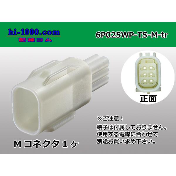 ●住友電装025型TS防水シリーズ6極Mコネクタのみ（端子無し）/6P025WP-TS-M-tr