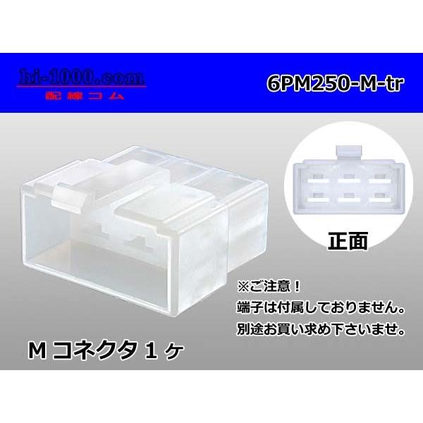 ●住友電装250型6極Mコネクタのみ（端子無し）6PM250-M-tr