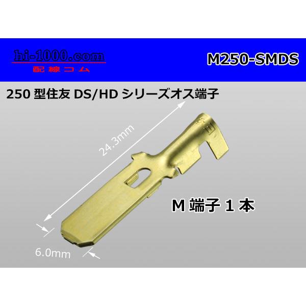 ○住友電装250型DS/HDシリーズオス端子/M250-SMDS :M250-SMDS:配線コム - 通販 - Yahoo!ショッピング ○住友電装250型DS/HDシリーズオス端子/M250-SMDS :M250-SMDS:配線コム - 通販 - Yahoo!ショッピング