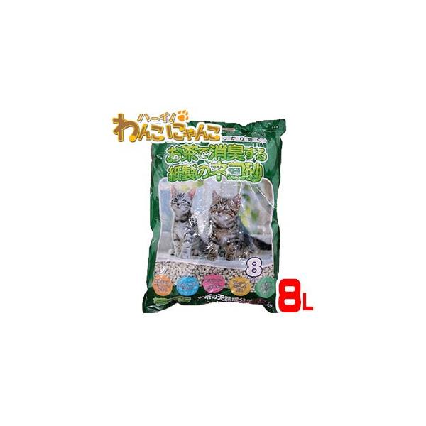 WpybgPA ŏL鎆̃lR 8L