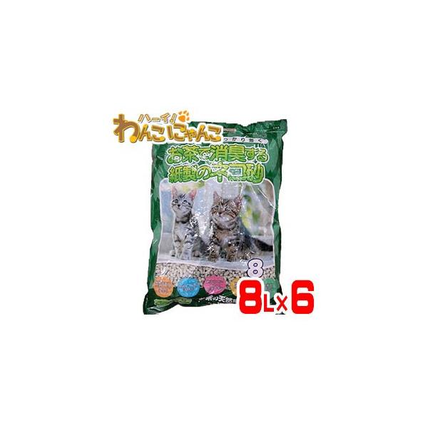 P[X̔ WpybgPA ŏL鎆̃lR 1P[X 8L×6