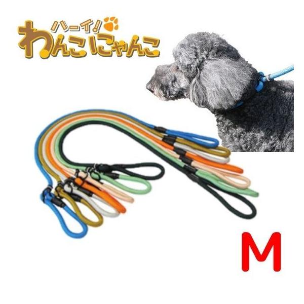 tC p[N}X^[ [NAEg@`[N[h MTCY 䂤pPΉ