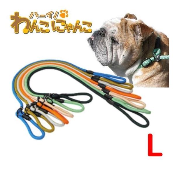 tC p[N}X^[ [NAEg@`[N[h LTCY 䂤pPΉ