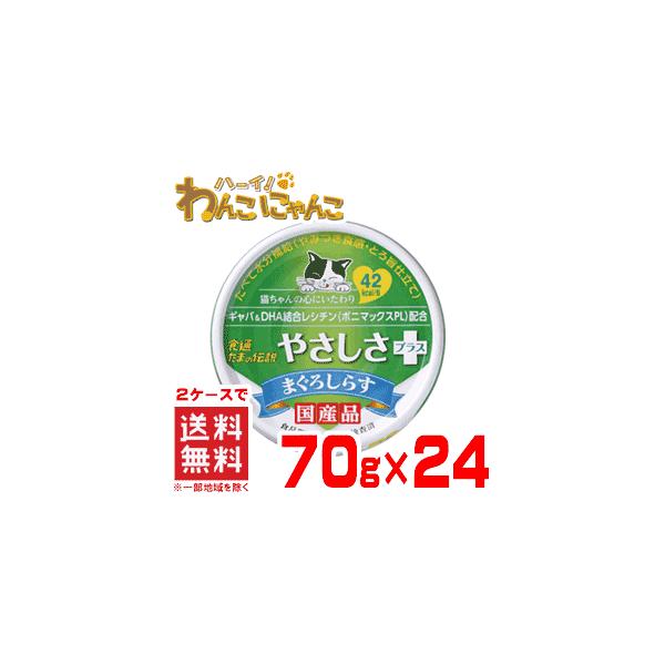 P[X̔ vsA ܂̓` ₳vX ܂낵炷 70g×24(No.63)Y